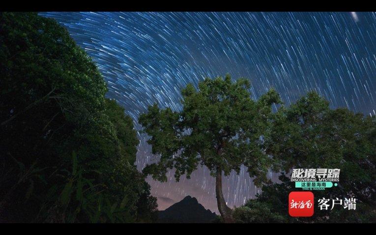 极品飞车12